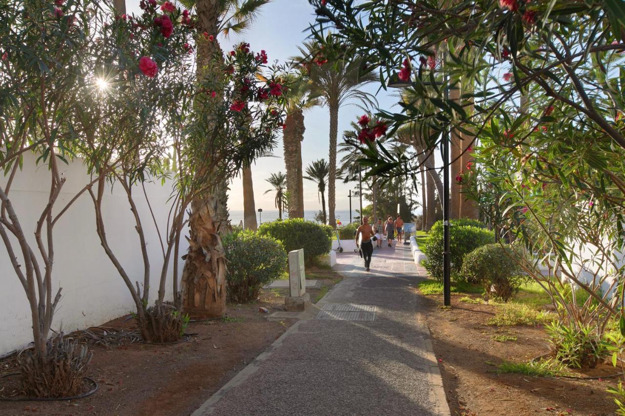 Apartment At 30 Mts From Sea Playa de las Americas  Exteriör bild